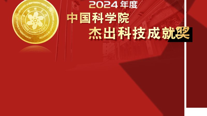 软件稳定性测试：揭秘十大品牌的背后逻辑